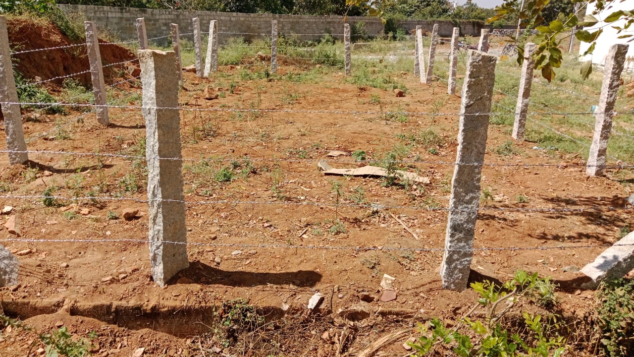 Stone Fencing with 7 feet stone and Barbed wire
